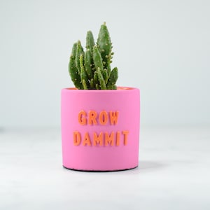 Könnte beinhalten: Ein rosafarbener Keramiktopf mit dem Text "GROW DAMMIT" in orangefarbenen Buchstaben. Eine kleine Kakteenpflanze wächst im Topf.