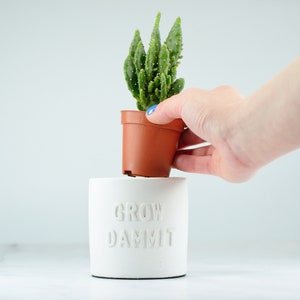 Minimalist Total White Planter For Cactus, Small White Concrete Pot, Indoor Planter With Funny Message, Spring Decor, Gift Idea For Friend