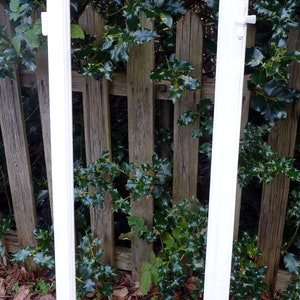 vintage window frames with old charm and new paint