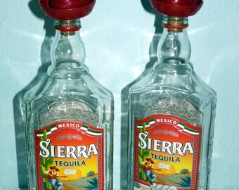 Pack of 2 bottle lights for balcony, garden, terrace