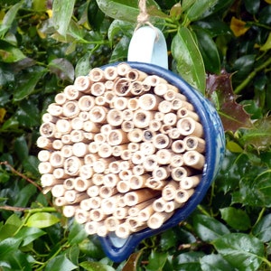 Peut inclure: Une tasse en céramique bleue et blanche avec une boucle de suspension, remplie d'une maison à abeilles en bambou. La maison à abeilles est un excellent moyen d'attirer les pollinisateurs dans votre jardin.