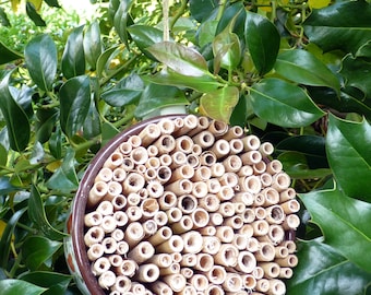 Insektenhotel Niströhren in Emailletopf