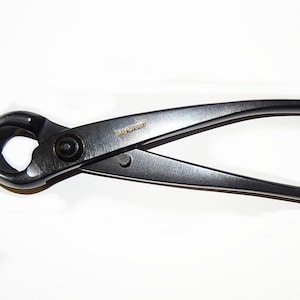 Può includere: Forbici da potatura nere con un'iscrizione dorata che recita "TANG-SHENG".