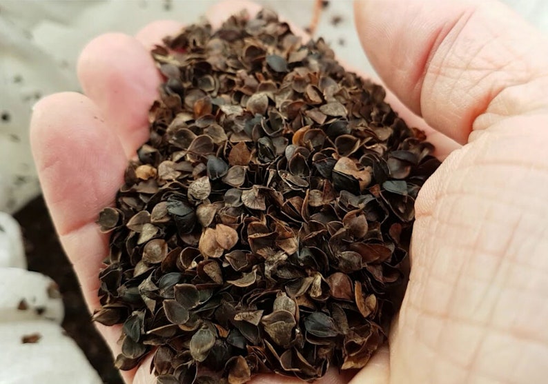 Purple Patterned Meditation Zafu buckwheat meditation pillow Etsy