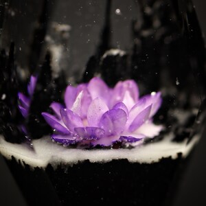 May include: A single purple flower encased in a clear glass orb with a black and white background.