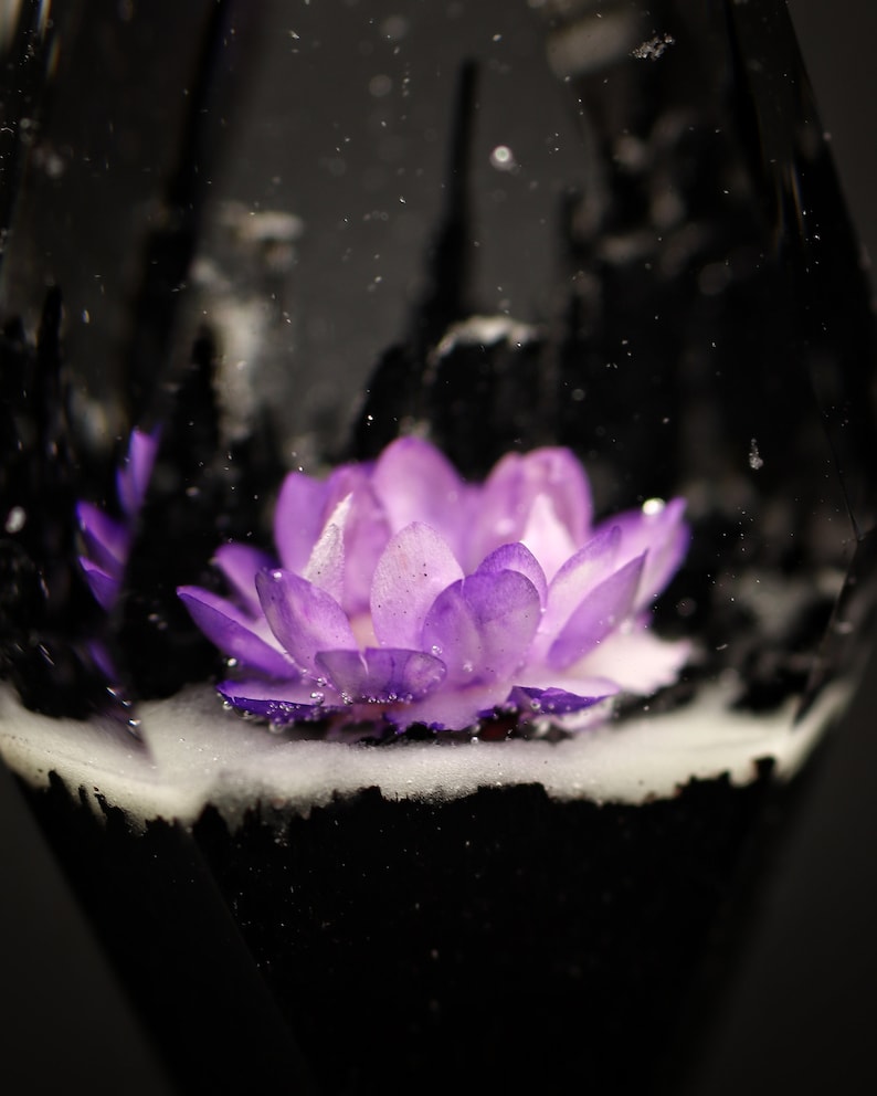 May include: A single purple flower encased in a clear glass orb with a black and white background.
