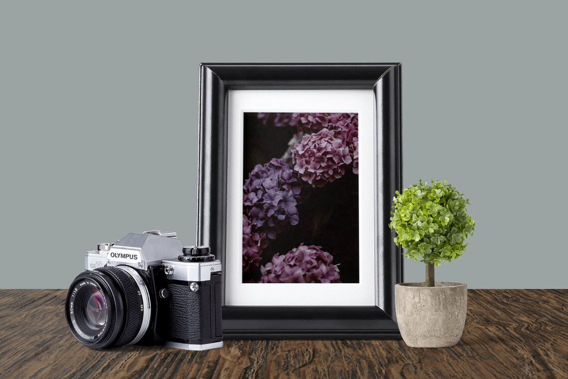 Pink Hydrangea Print, Botanical Prints, Nature Wall Art, Hydrangea Wall