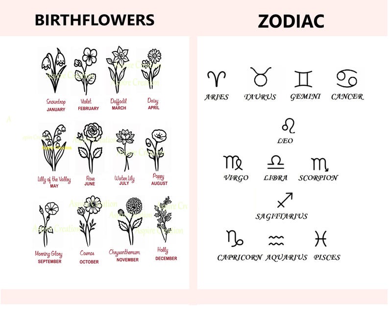 Puede incluir: Un fondo blanco presenta dibujos lineales negros de flores de nacimiento y s&iacute;mbolos del zodiaco. Las flores de nacimiento est&aacute;n etiquetadas con sus meses correspondientes. Tambi&eacute;n se muestran s&iacute;mbolos y nombres del zodiaco.