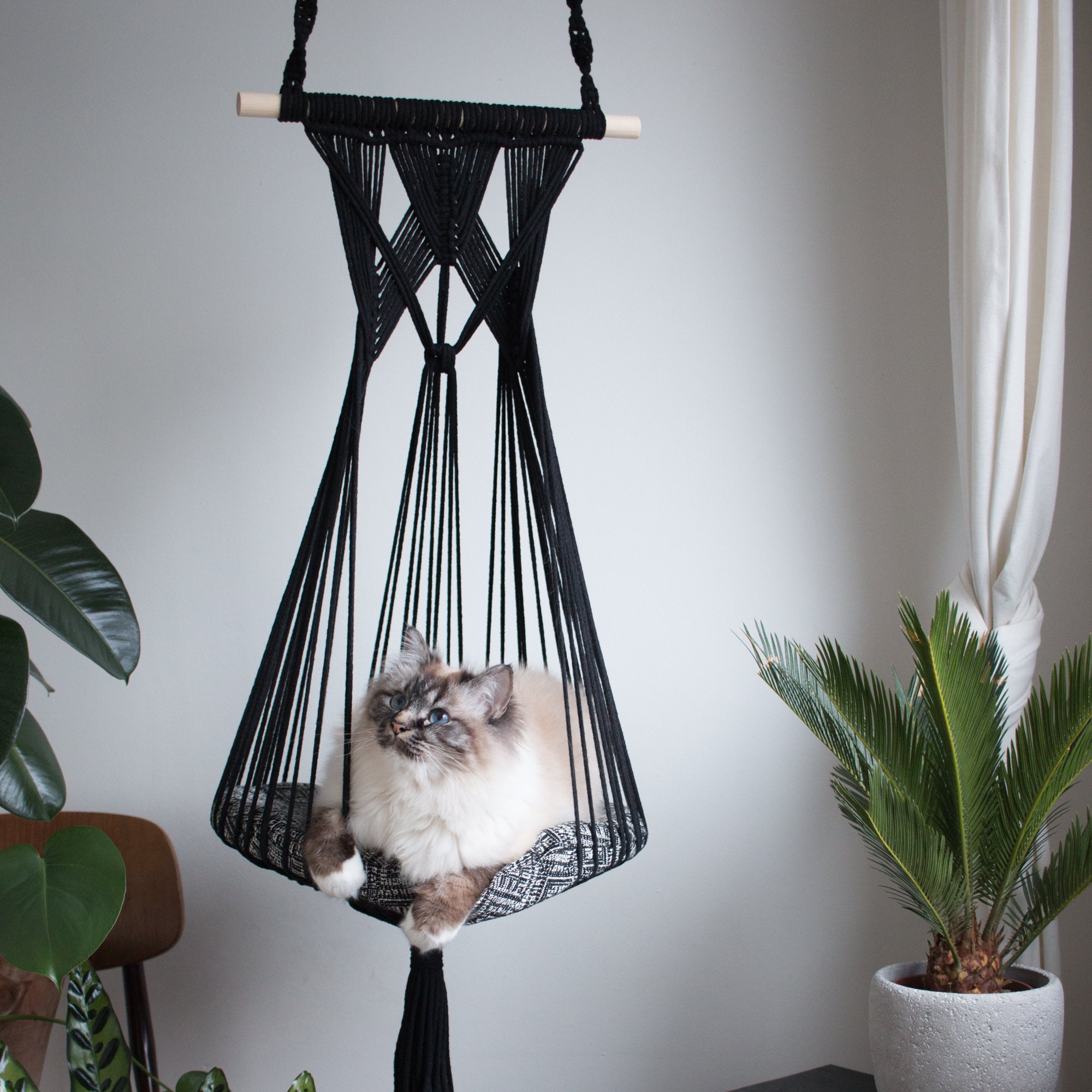 Planteur De Chat/Noir