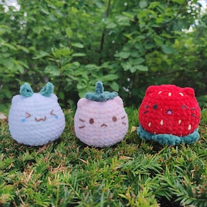 3 in 1 Strawberry Cat Amigurumi Pattern, cute squishmallow, cat crochet pattern