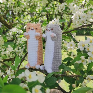 May include: Two crocheted plush toys shaped like cats, one is gray and white, the other is orange and white. The toys are sitting on a branch of a flowering tree.