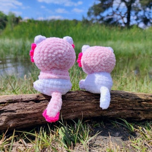 2 in 1 Axolotl Kitty Amigurumi pattern, cat wearing axolotl hoodie, cute kitty plush crochet pattern image 6