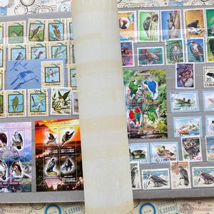 Bird Stamps Big Album – About 500 Colorful Global Postal Stamps – Ornithology Gift for Nature Lovers & Collectors
