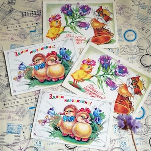 Happy Birthday! Beautiful greeting postcards, Cute animals, Set of 4 Vintage Ukrainian Postcards, Blank postcards, Made in Ukraine,90s.