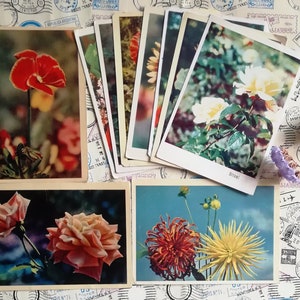 Fleurs sur cartes postales, Félicitations! Belles cartes postales de vœux, Set # 11 de 10 cartes postales soviétiques vintage, écrites, fabriquées en URSS, années 60-70.