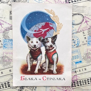 Sovjet-ruimtehonden – Belka en Strelka vintage ansichtkaart jaren 60 – USSR Space Exploration Collectible
