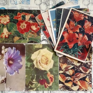 Blumen auf Postkarten, Gratulation! Wunderschöne Grußkarten, Set#13 von 10 Vintage Sowjetischen Postkarten, Geschrieben auf, Made in UDSSR, 50er Jahre.