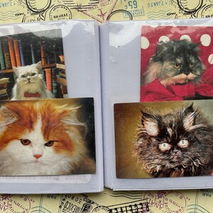 Cats Vintage Pocket Calendars, Set of 48 Colorful Calendars in Album, Adorable Kittens, Funny Cats, Collectible