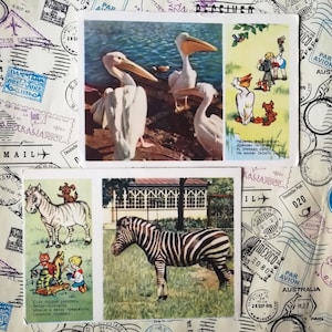 Pellicano, Zebra, Bambino Umorismo Cartoline Divertenti, Set di 2 cartoline sovietiche vintage, Rime divertenti in russo, Raro, Made in USSR, 1955