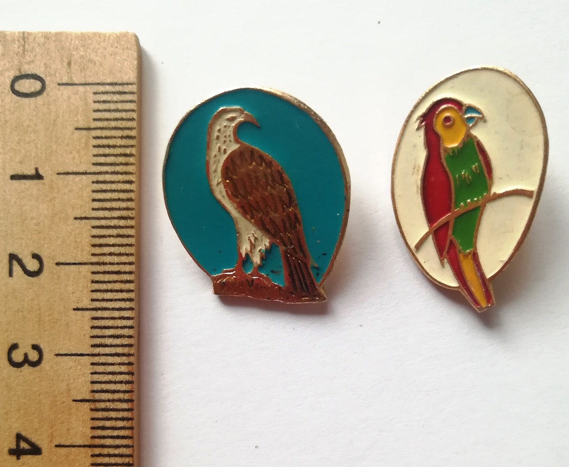 Birds Vintage Pin Badges Set of 2 Colorful Badges Etsy