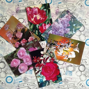 Cartões postais com flores, parabéns! Lindos cartões postais de saudação, conjunto nº 9 de 6 cartões postais soviéticos vintage, escritos em, feitos na URSS, anos 70.
