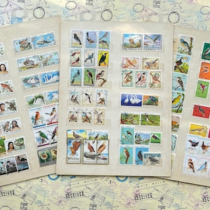 Birds on Stamps from Different Countries - Unique Selection of more than 70 Colorful Stamps per Sheet - Choose from 3 Different Sheets
