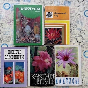 Postales de cactus: 5 juegos, más de 80 tarjetas vintage de la URSS, flores de cactus en flor, impresiones de flores coloridas, raras de los años 70 y 80