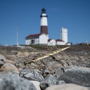Op de afbeelding: Een close-up van een verweerde, bruine tak met een goudkleurig metalen voorwerp erop. De tak is omringd door grijze rotsen. Op de achtergrond is een witte vuurtoren met een zwart dak zichtbaar tegen een heldere blauwe lucht.