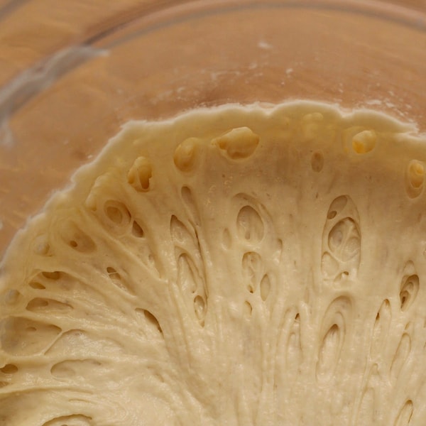 Fermento natural francês com mais de 225 anos (fermento natural histórico para pão de fermentação natural) - Presente