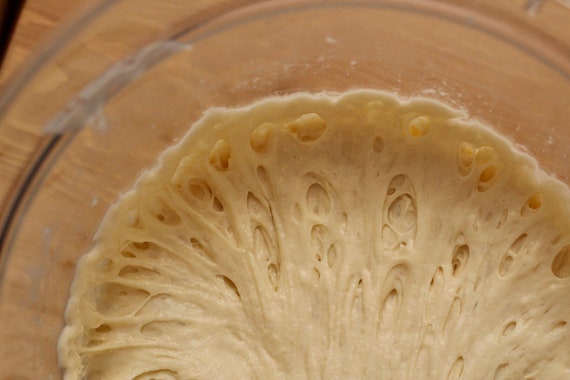 225+ Year Old French Sourdough Starter (Natural Historic Sourdough Bread Yeast) Gift