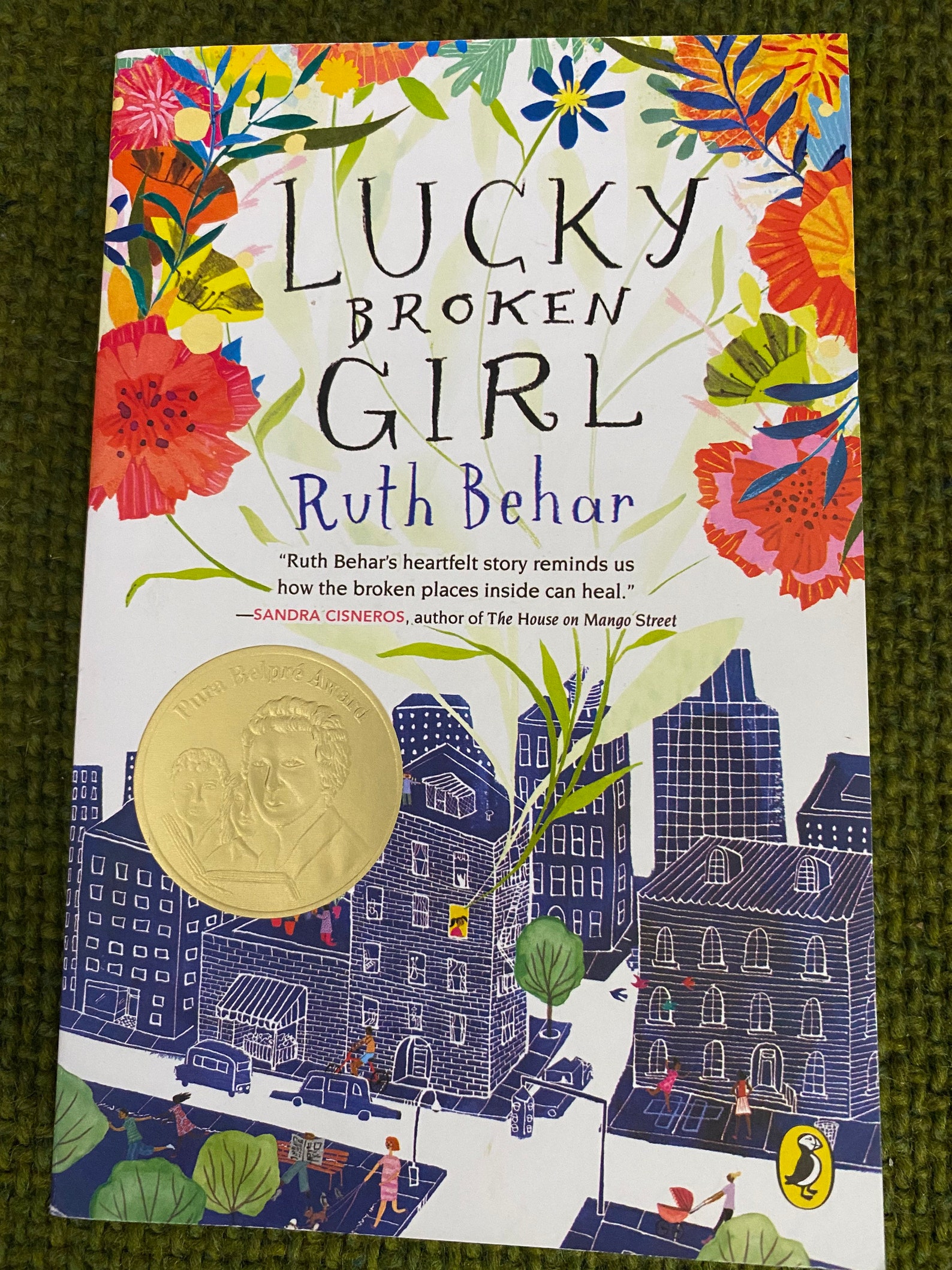 lucky broken girl book review