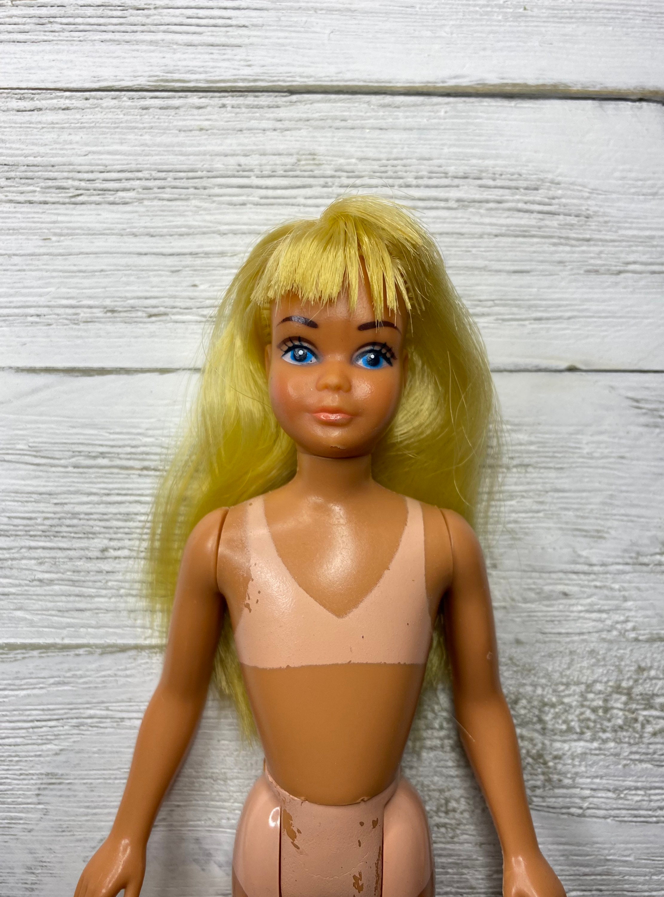 Malibu skipper on sale barbie doll
