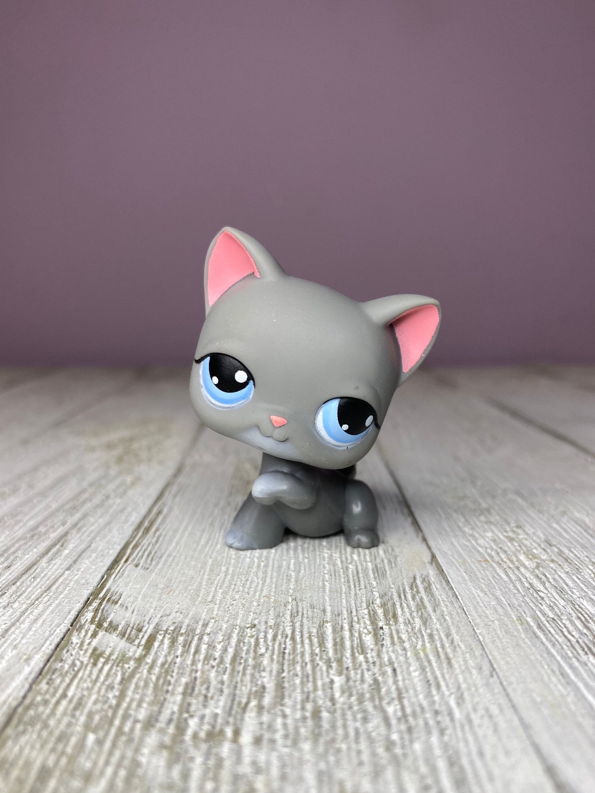 Lps grey cheap shorthair