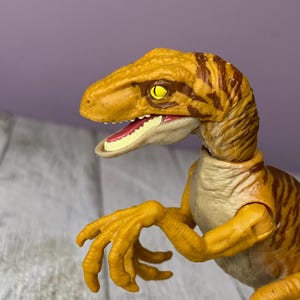 May include: A detailed close-up of a Velociraptor toy. The dinosaur is primarily yellow with brown stripes and has a detailed head, open mouth, and articulated arms. The eyes are yellow, and the mouth is pink.