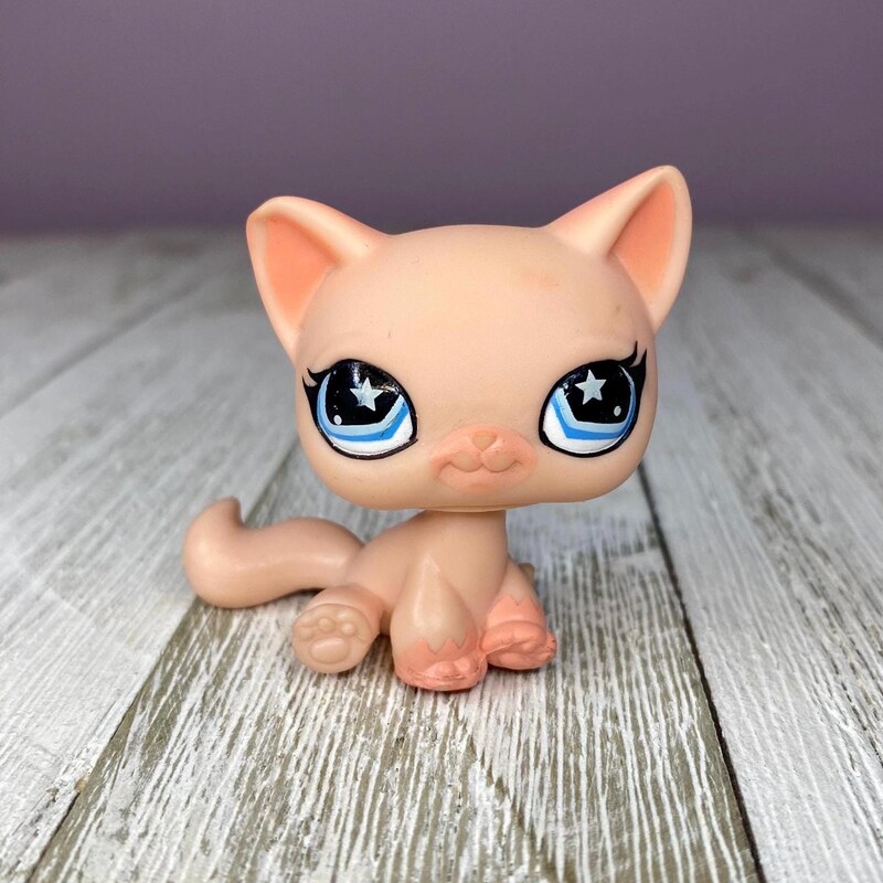 Pink Lps Lps Cat Pink - Etsy