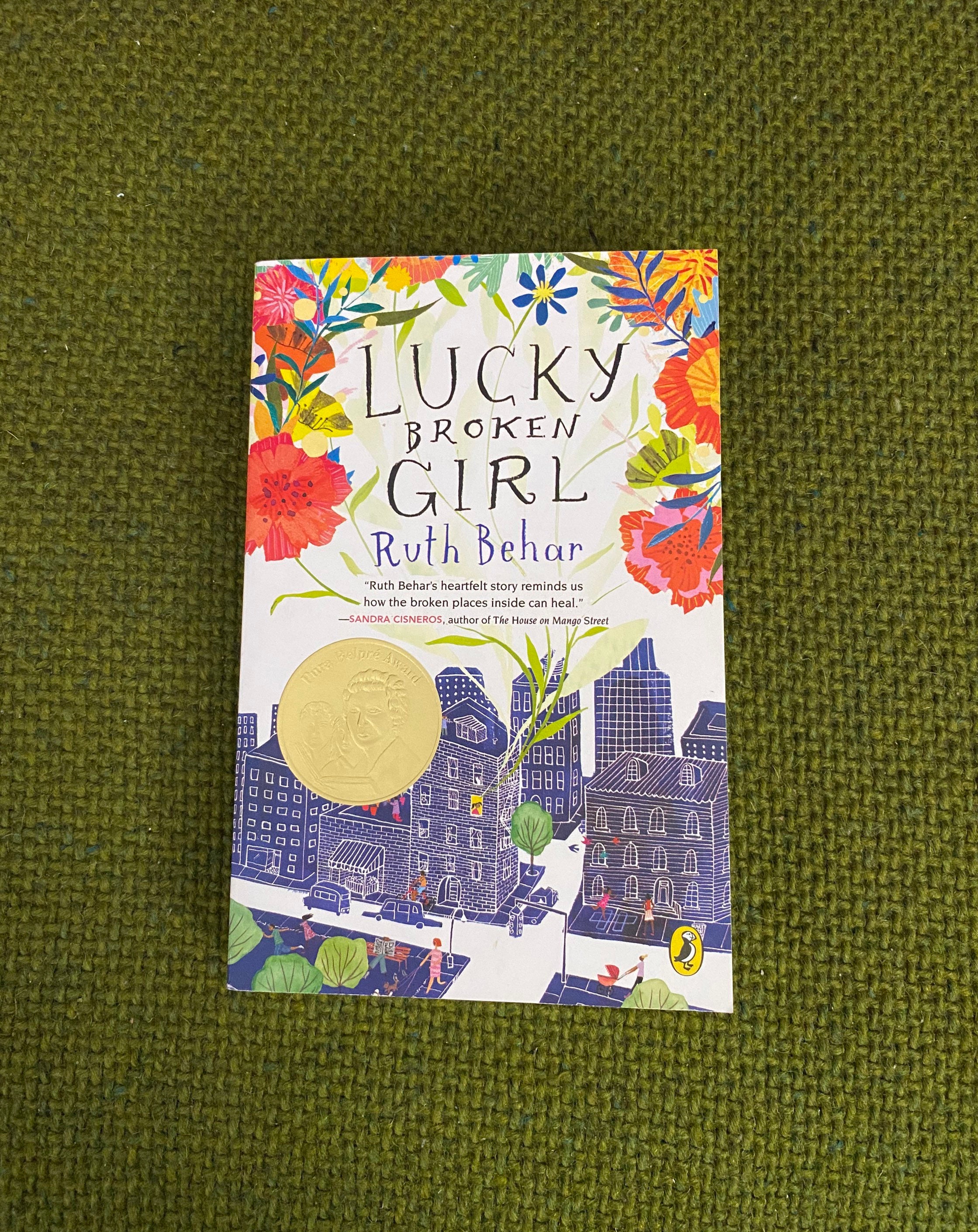 lucky broken girl book review