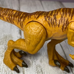 May include: A close-up of a toy dinosaur's leg and tail. The dinosaur is primarily yellow-orange with brown stripes on its tail. The claws are dark brown. The skin has a textured appearance.