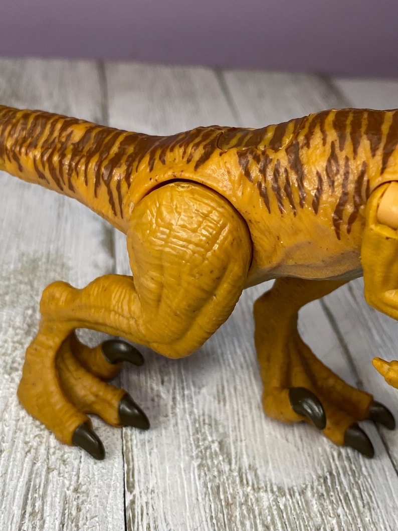 May include: A close-up of a toy dinosaur's leg and tail. The dinosaur is primarily yellow-orange with brown stripes on its tail. The claws are dark brown. The skin has a textured appearance.
