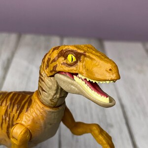 May include: A detailed close-up of a Velociraptor toy. The dinosaur is primarily yellow-orange with brown stripes and a tan underbelly. Its mouth is open, revealing a red interior and white teeth. The toy has articulated limbs and a detailed head.