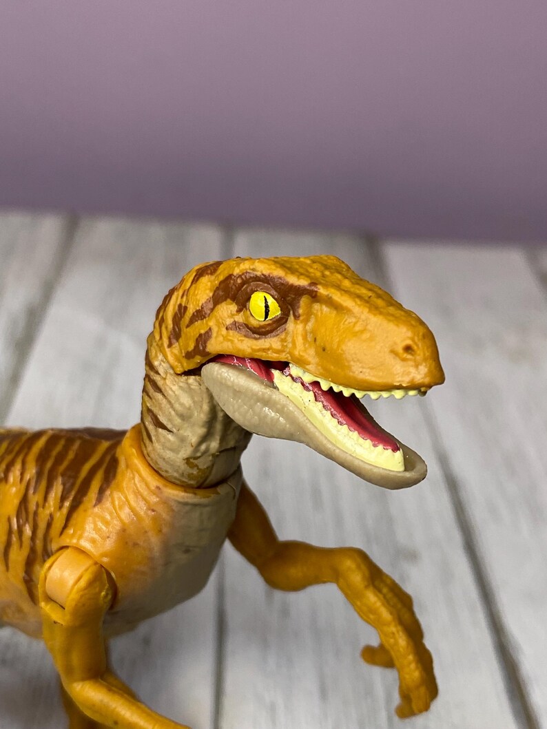 May include: A detailed close-up of a Velociraptor toy. The dinosaur is primarily yellow-orange with brown stripes and a tan underbelly. Its mouth is open, revealing a red interior and white teeth. The toy has articulated limbs and a detailed head.