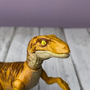 May include: A detailed plastic toy dinosaur, a Velociraptor, in shades of yellow and brown. The dinosaur has a textured skin appearance with dark brown stripes. The eyes are yellow with black pupils. The toy is posed with its arms extended.