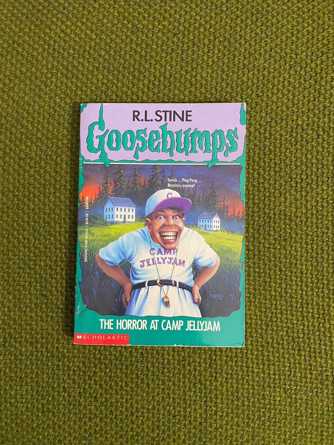 Goosebumps 33 The Horror at Camp Jellyjam by. R.L. Stine Etsy