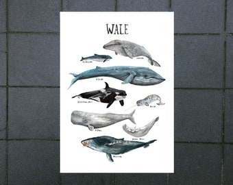 DEUTSCH digitaler Download Poster Kinderzimmer Wale Ozean Walfische Meere Tieren Natur Wohnung Illustrationen Dekoration Wissen Aquarell