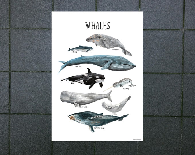 ENGLISH printed poster children's room whales ocean whales seas animals nature apartment children illustrations decoration knowledge watercolor