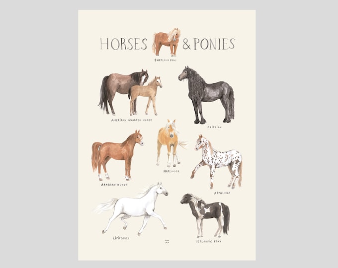 HORSES & PONIES dig Download Poster horses kids room girls room boys nursery animals poster horse breeds Povalala pony horse back riding