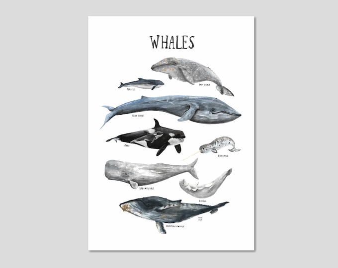 WHALES printable poster - beautiful kidsroom decoration for little ocean lovers