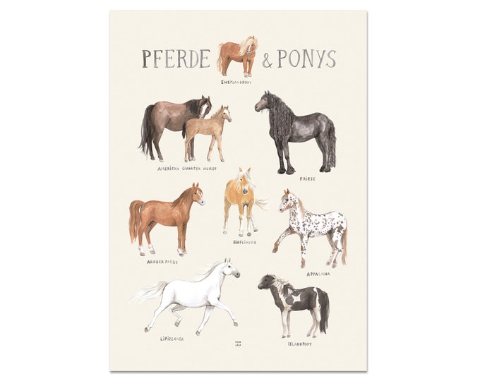 Horses & Ponies Poster A3 Children's Room Girls Boys Children Animals Horse Breeds Povalala German Watercolor Nature Shetland Pony Riding Iceland