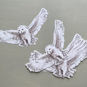 Eulen Einladung Geburtstag Zauberer Magie Hexen Schneeeule Set 10 Stück diy basteln