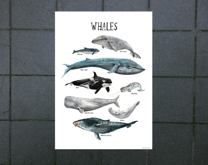 ENGLISH digital download poster children's room whales ocean cetaceans seas animals nature apartment illustrations decoration knowledge watercolor