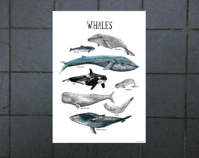 WHALES poster digital download children's room ocean whales seas animals nature apartment illustrations decoration knowledge boys girls